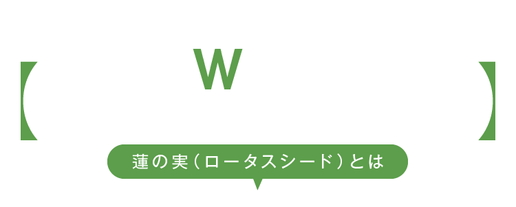 WHAT's ORIGINAL MILKY NUTS LOTUS SEEDS 蓮の実（ロータスシード）とは
